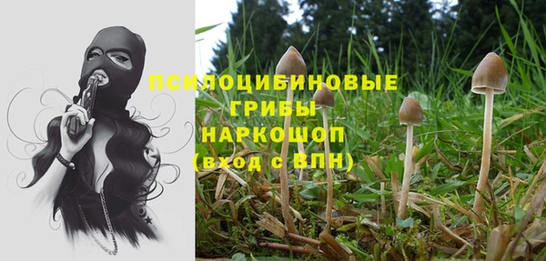 каннабис Ладушкин